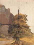 Albrecht Durer A Tree in a Quarry oil painting picture wholesale